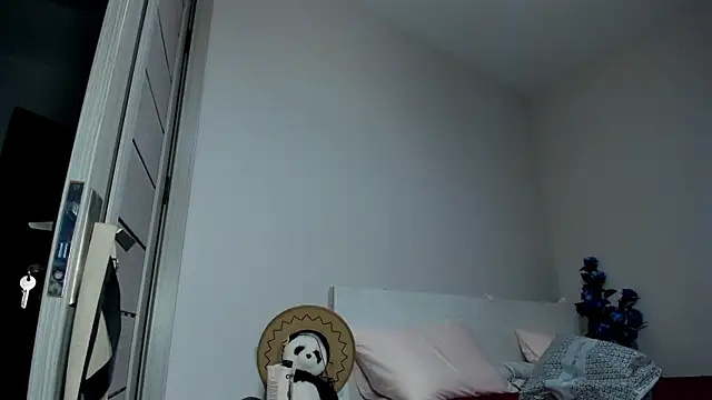 missinfull webcam