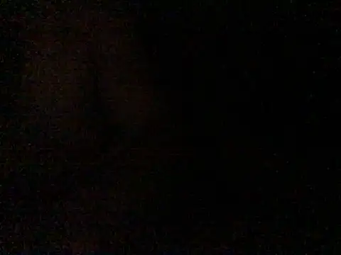 FleckedAlbum webcam