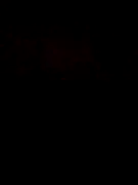 Maxirasta12_ webcam