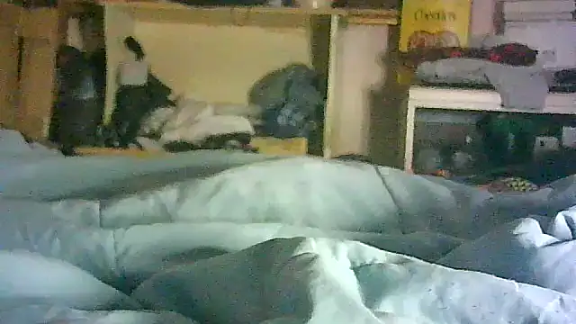 CR3M3_FIR3 webcam