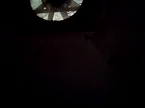 ShawnandDani7074 webcam