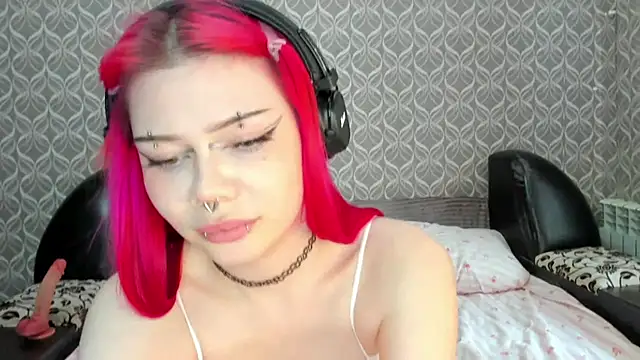 Veldenga webcam