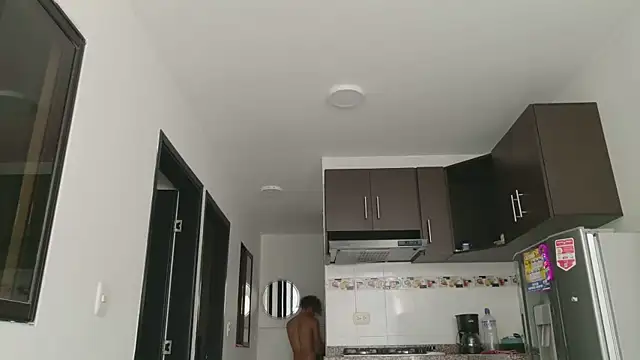 grey___27 webcam