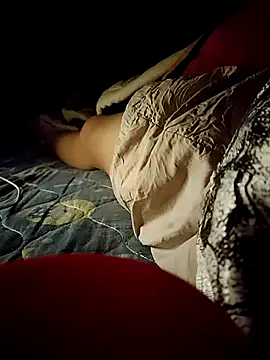 -Tara-a webcam