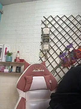 SALOME_KORLAND webcam