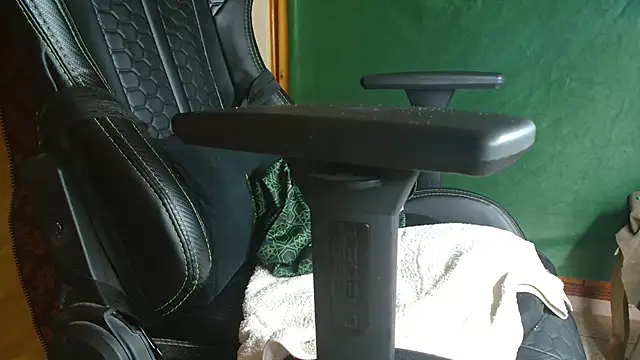 coacharabian webcam