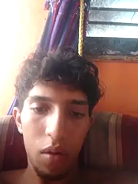 Noscay webcam
