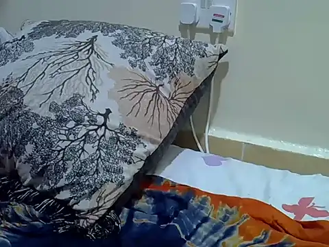 verl1 webcam