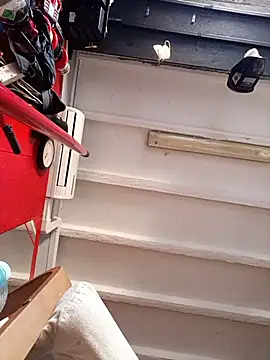 bigcock_marusz webcam