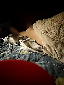 -Tara-a webcam