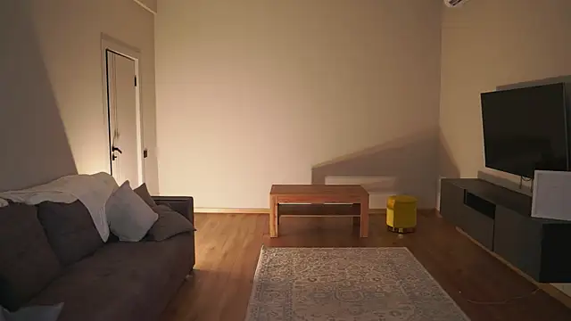 AdaBell webcam