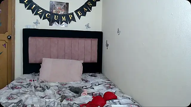 VICTORYXS1 webcam