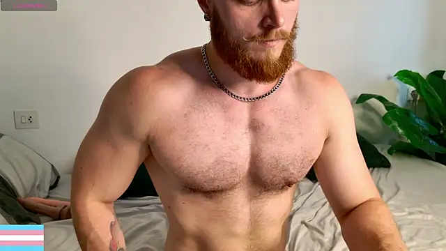 VictorTransMan webcam