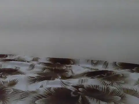 Honnnyyy webcam