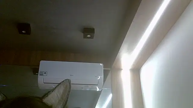 SkinnyKitten webcam