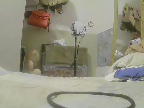 Jhennyf_Lims webcam