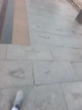 PublicMarekFlashDick