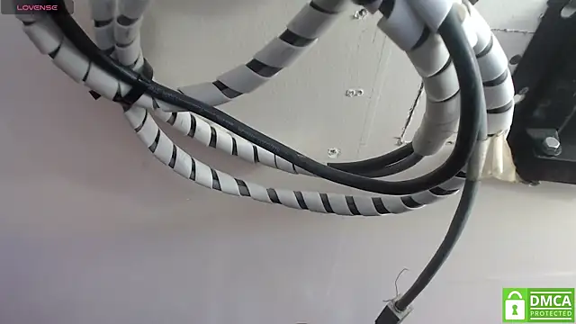 Ryan_grayx