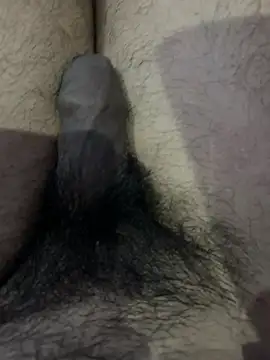 Junglii_Billi webcam