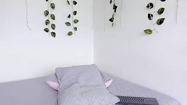 Laurensmith9 webcam