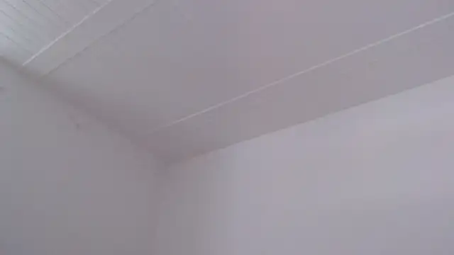 ElizabethMiler webcam