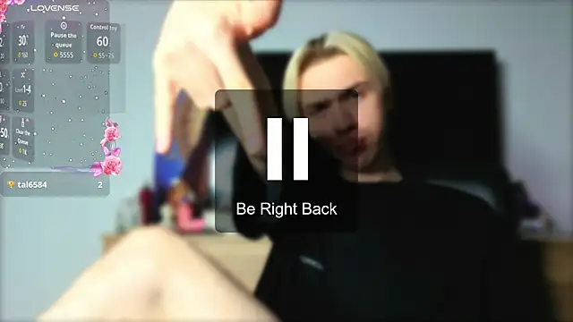 skibatryanka webcam