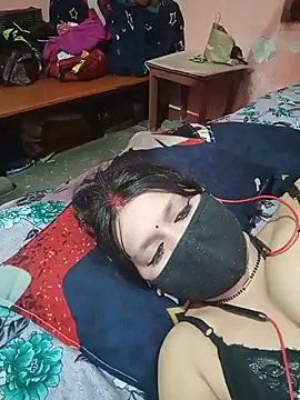 ZOYA-STRIP webcam