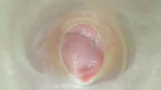 karol_stom webcam