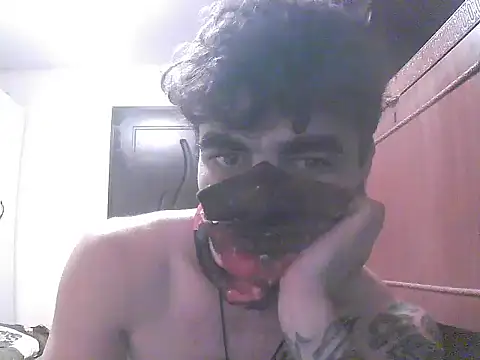 projectdivad webcam