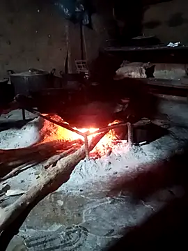 ngockem webcam