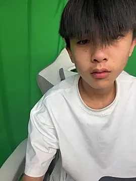 DD-101 webcam