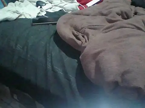tanobighorse webcam