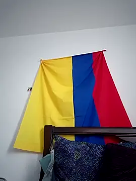 IrisBound webcam