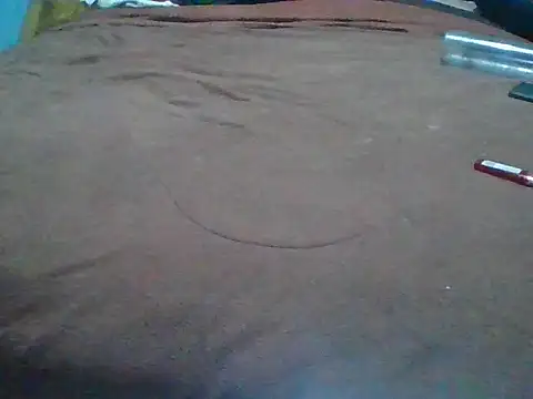 tanobighorse webcam