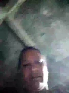 Loomaraj webcam