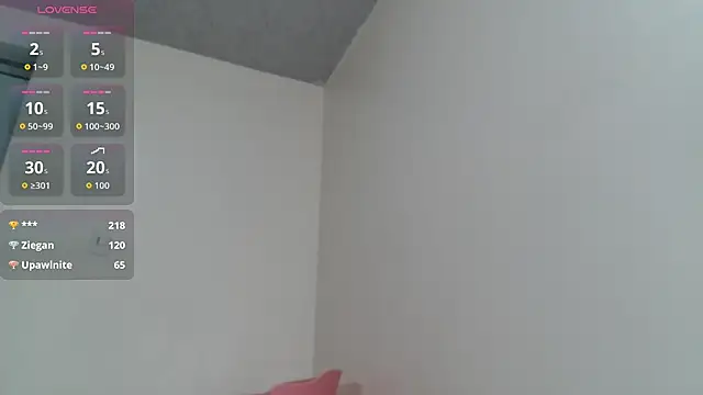Full_Fist webcam