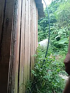congchua977 webcam