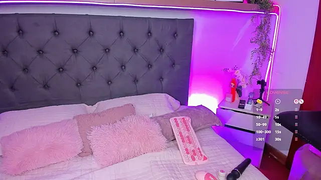 _Lorraine_v webcam