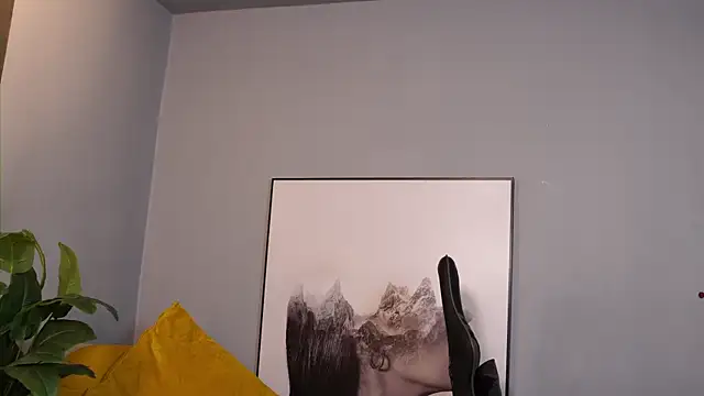 TianBrooks webcam