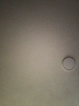 Joyce-fire webcam