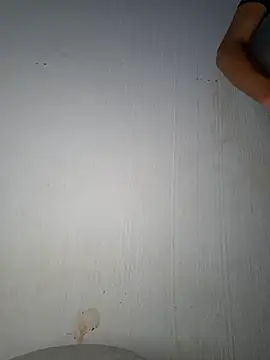 fertwin webcam