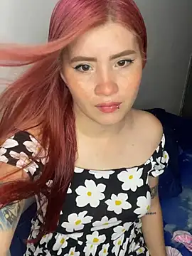aria_rm webcam