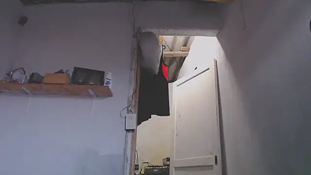 gatoalex89 webcam