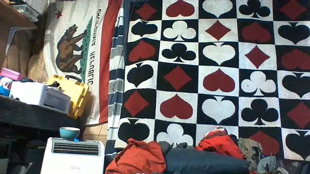 SillyRabbitz webcam