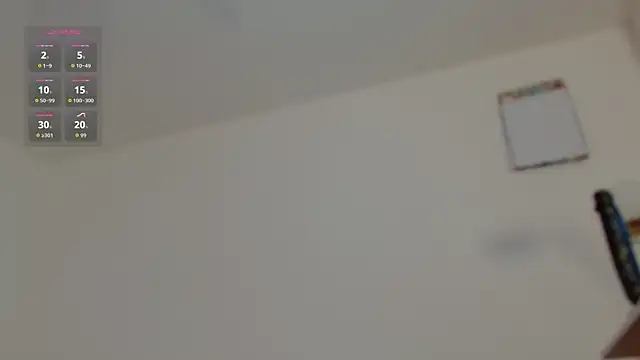 mochakaia webcam