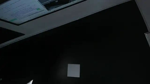 Zoee_js webcam
