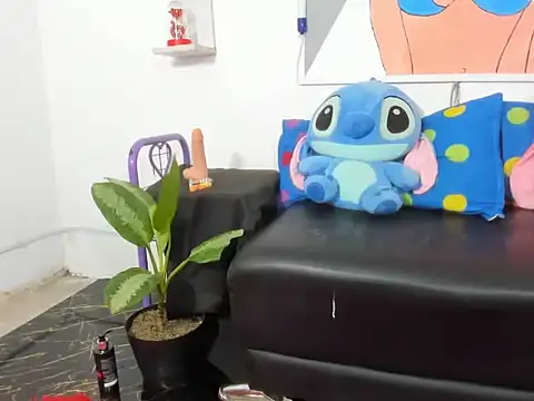 Miiavelveet webcam