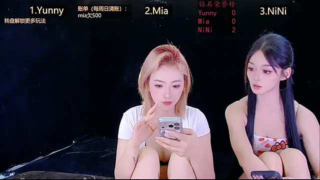 MiNi-U webcam