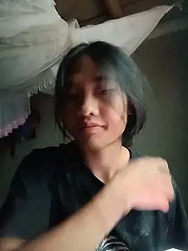 Hoa-tuylip