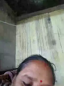 Loomaraj webcam